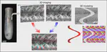 Helical crystals in the shells of sea butterflies and adaptation to flow